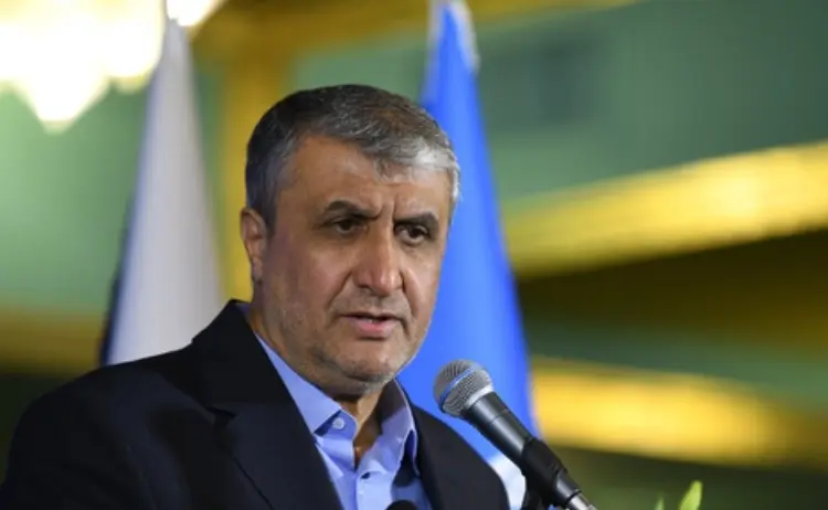 یکی از چهار مکان ادعایی آژانس یک معدن متروکه برای 60 سال پیش بود که شوروی در آنجا کار می‌کرد؛ اورانیوم آنجا ۲۳۶ بود که ما اصلا این اورانیوم را نداریم/ جایی دیگر که مدعی هستند گاوداری بود