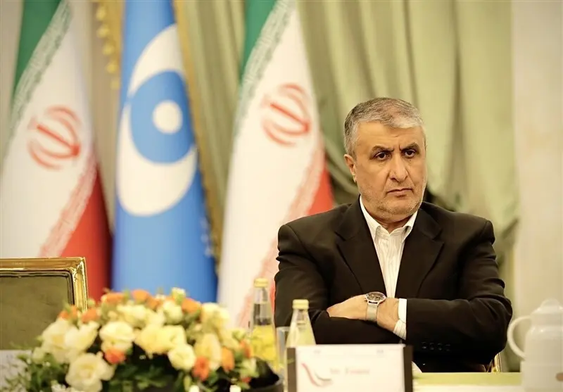سازمان انرژی اتمی: ظرفیت نصب‌شده ایران فقط ۳ درصد، اما ۲۵ درصد بازرسی‌ها از ماست