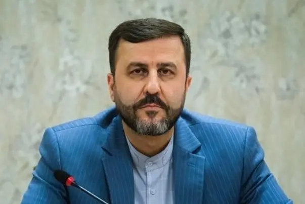 غریب آبادی: تیم آژانس به ایران می‌آید اما از تاسیسات بازدید نمی‌کند