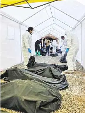 کلاهبردار بزرگ با 383جسد