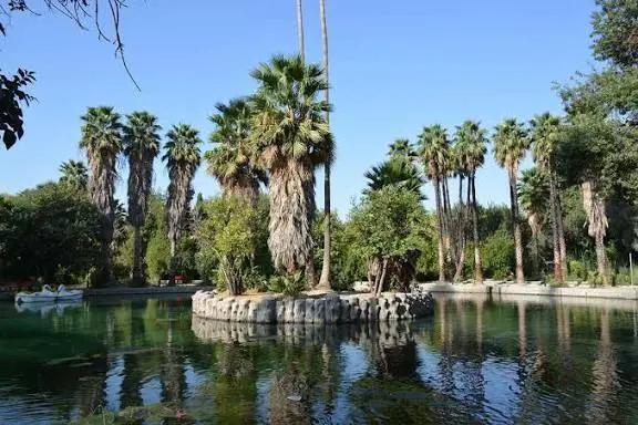 مهار آتش‌سوزی جزئی در باغ چشمه بلقیس چرام+ فیلم